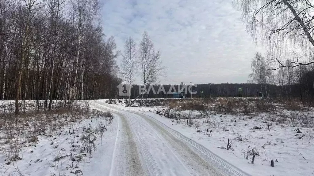 Участок в Московская область, Коломна городской округ, д. Сенцово ул. ... - Фото 1