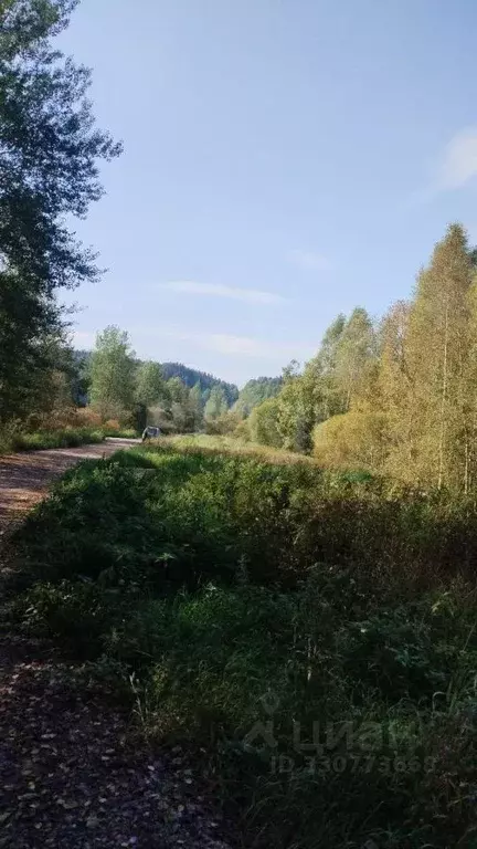 Участок в Ленинградская область, Приозерский район, Красноозерное ... - Фото 1