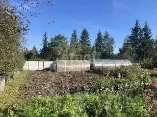 Участок в Курганская область, Кетовский муниципальный округ, Иволга со ... - Фото 2