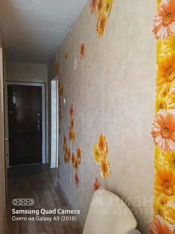 1-к кв. Омская область, Омск Солнечный мкр, ул. 3-я Любинская, 24 ... - Фото 1