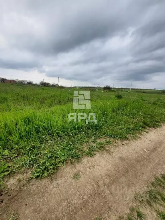 Участок в Ростовская область, Неклиновский район, с. Вареновка ... - Фото 2