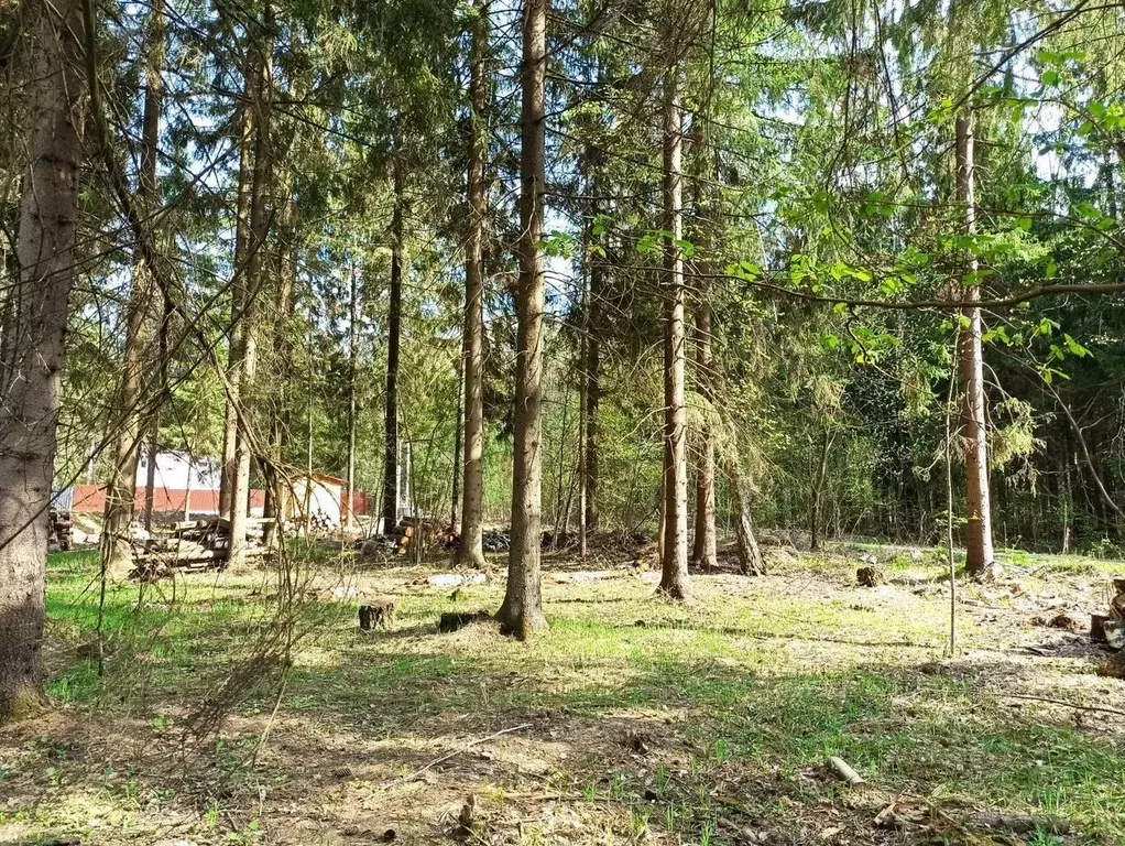 Участок в Москва Вузсервис СНТ, 102 (10.0 сот.) - Фото 0