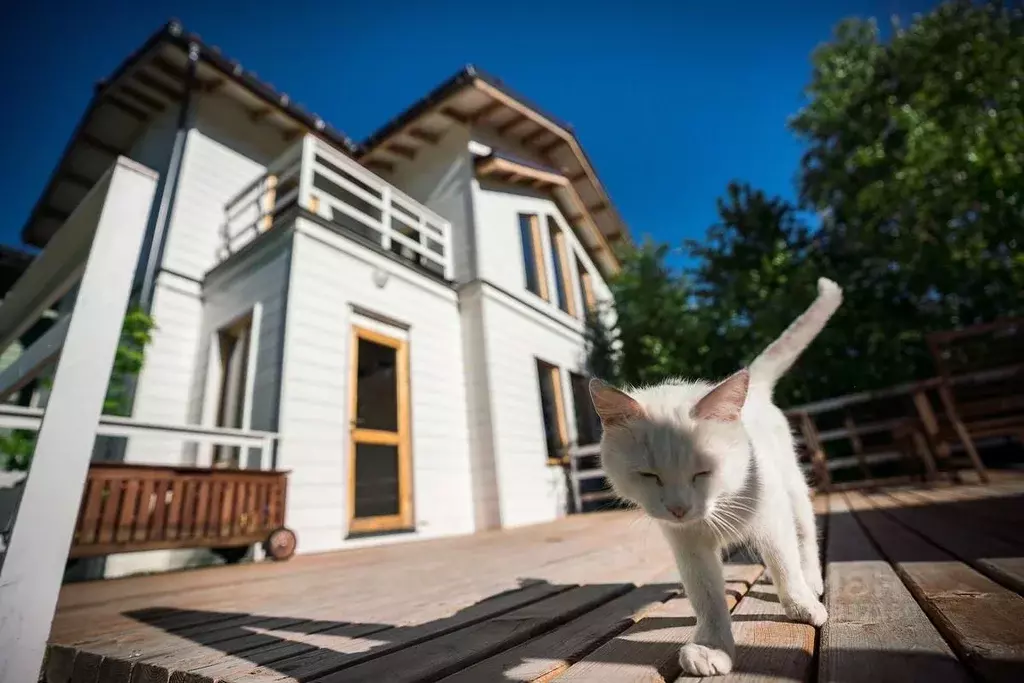 Коттедж в Московская область, Одинцовский городской округ, д. Скоково ... - Фото 2