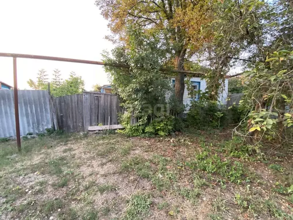 Дом в Белгородская область, Новооскольский муниципальный округ, с. ... - Фото 1