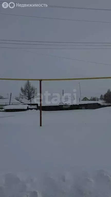 Участок в Новосибирская область, рабочий посёлок Коченёво, Садовая ... - Фото 1