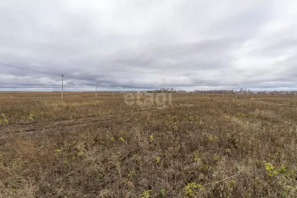 Участок в Татарстан, Тукаевский район, с. Биклянь ул. Школьная (15.0 ... - Фото 0