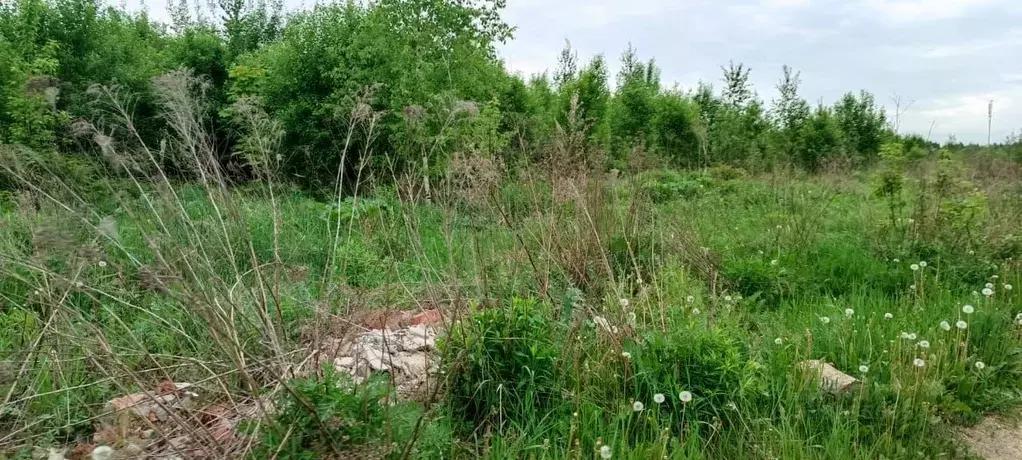 Участок в Московская область, Подольск городской округ, д. Булатово ... - Фото 0