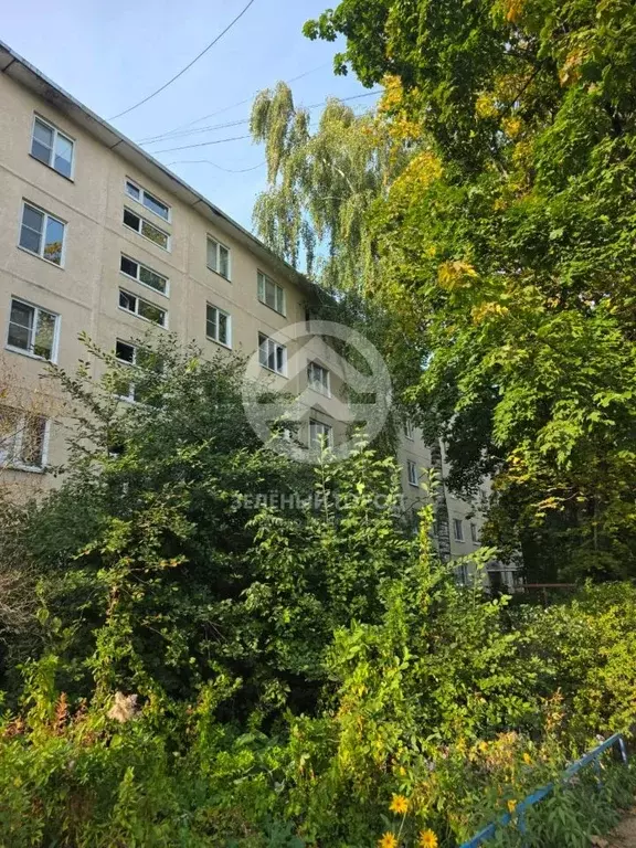 1-к кв. Московская область, Солнечногорск Почтовая ул., 22 (28.2 м) - Фото 1