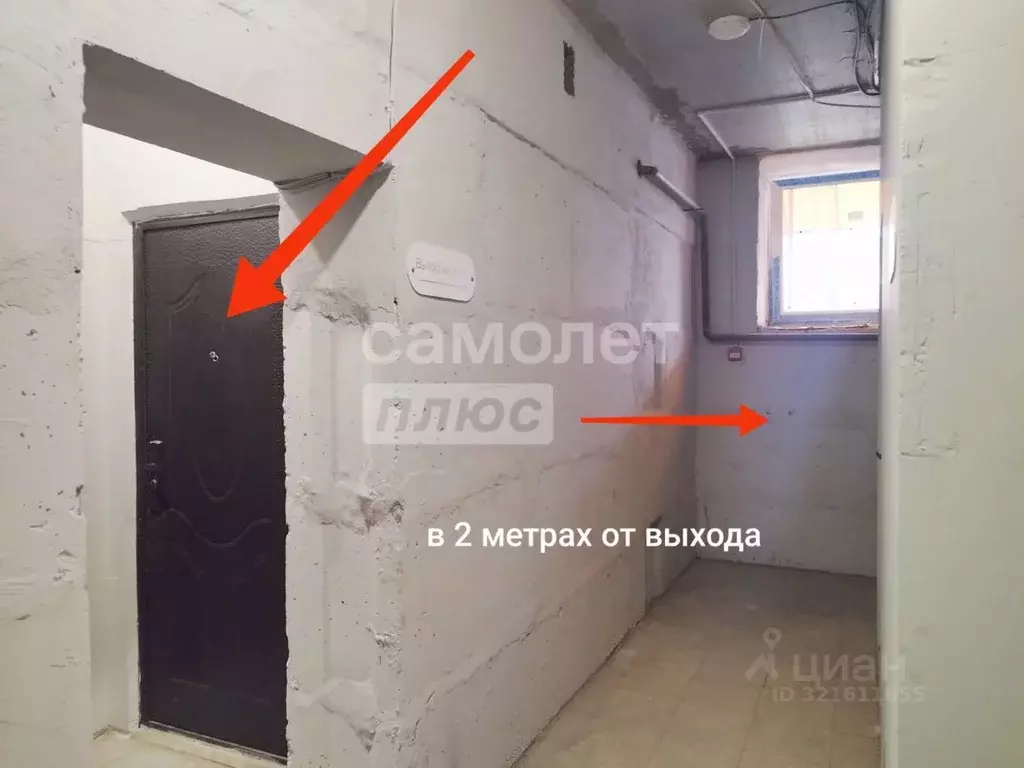 Помещение свободного назначения в Брянская область, Брянск ул. Имени ... - Фото 1