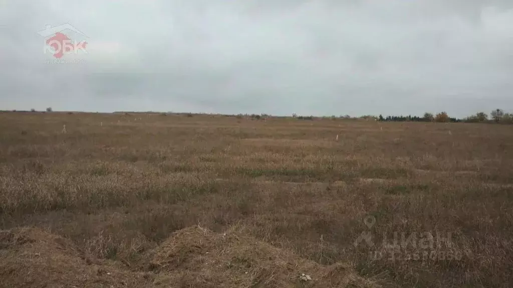 Участок в Крым, Черноморский район, Оленевское с/пос, с. Оленевка ул. ... - Фото 2