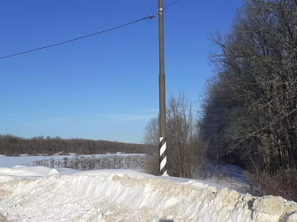 Участок в Ленинградская область, Тосненский район, Трубникоборское ... - Фото 0