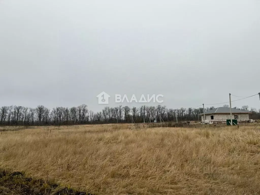 Участок в Пензенская область, с. Бессоновка ул. Ключевая (10.0 сот.) - Фото 1