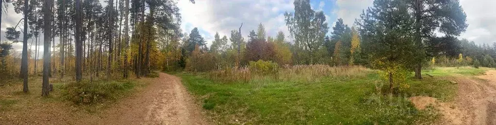 Участок в Ленинградская область, Приозерский район, Сосновское с/пос, ... - Фото 1