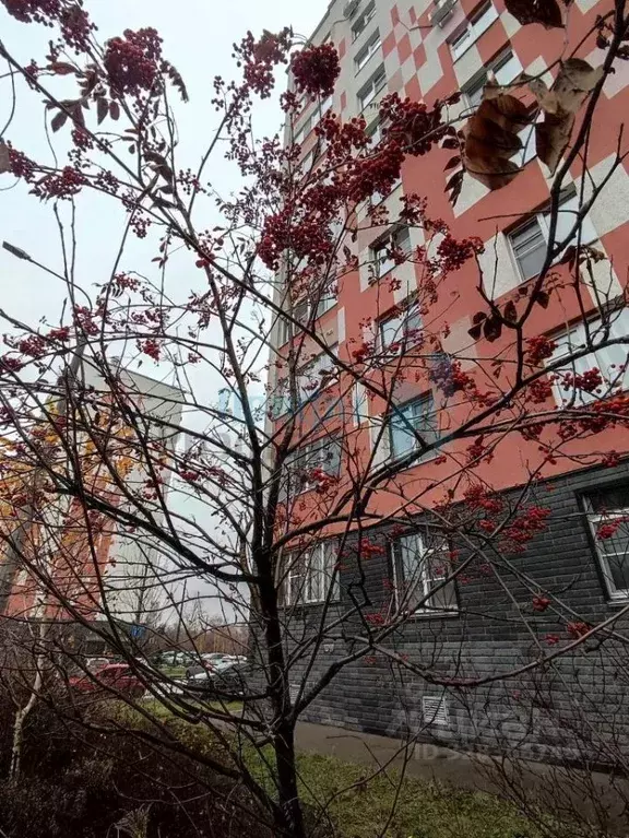 1-к кв. Нижегородская область, Нижний Новгород ул. Спутника, 42 (42.0 ... - Фото 2