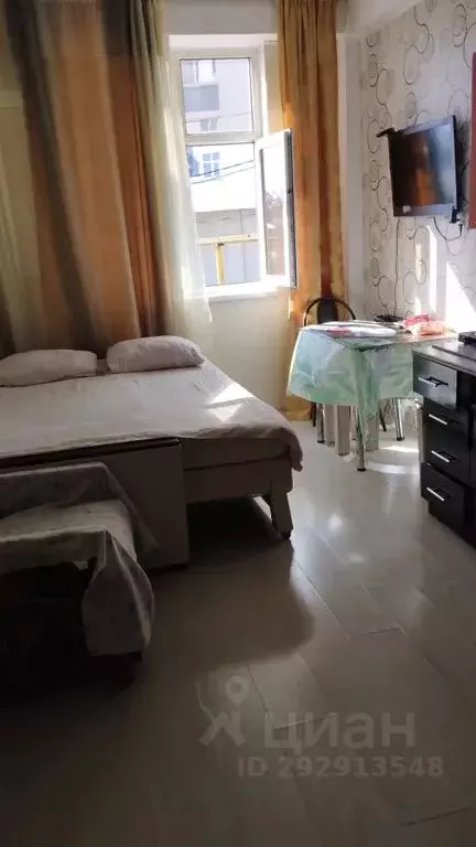 Студия Краснодарский край, Сочи Виноградная ул., 204Б/1 (28.0 м) - Фото 1