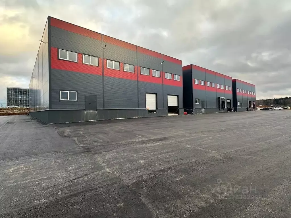 Склад в Московская область, Чехов муниципальный округ, с. Новоселки, ... - Фото 2