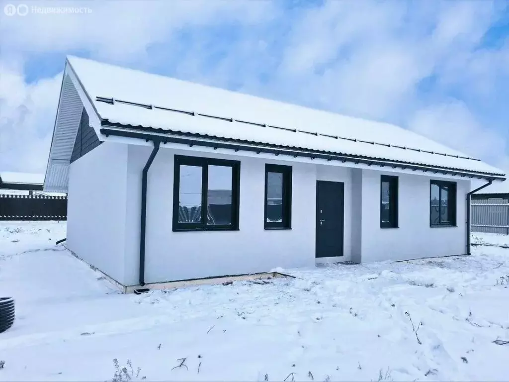 Дом в Пензенская область, село Бессоновка (65 м) - Фото 1