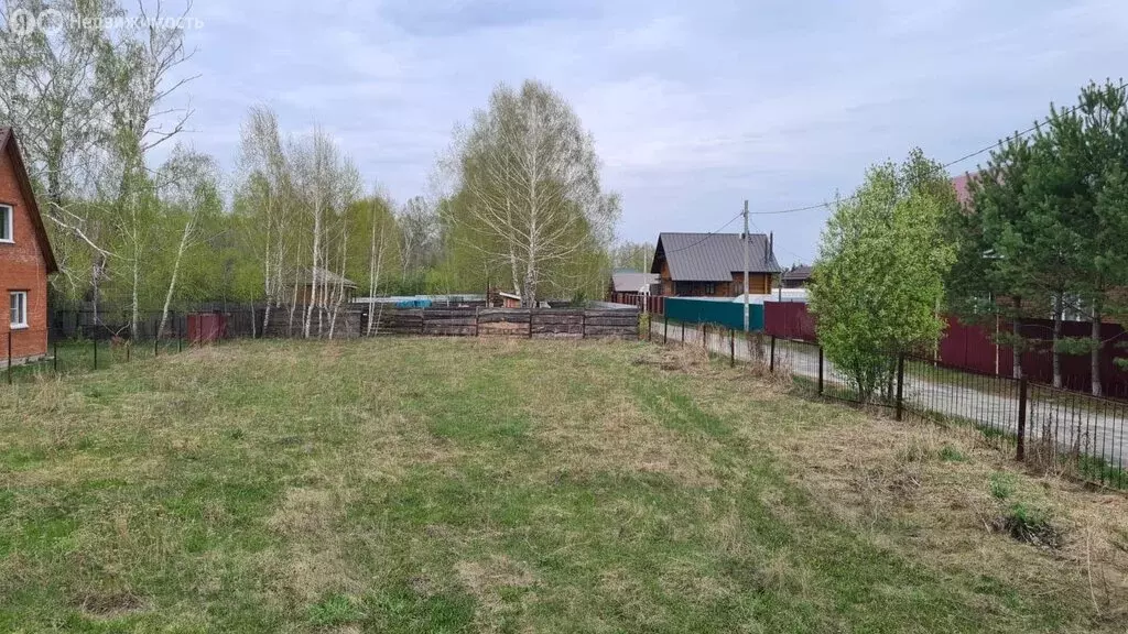 Участок в Новосибирская область, Коченёвский муниципальный район, ... - Фото 0