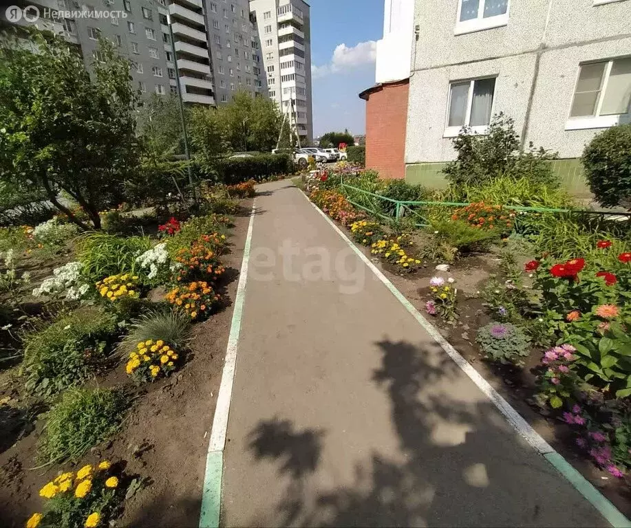 2-комнатная квартира: Омск, улица Богдана Хмельницкого, 38 (49 м) - Фото 2