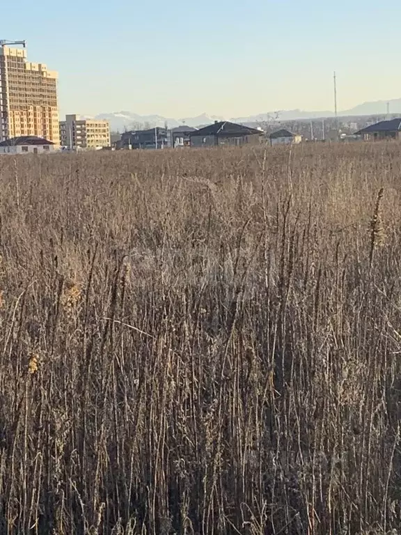 Участок в Адыгея, Майкоп ул. Маршала Мерецкова (6.57 сот.) - Фото 1