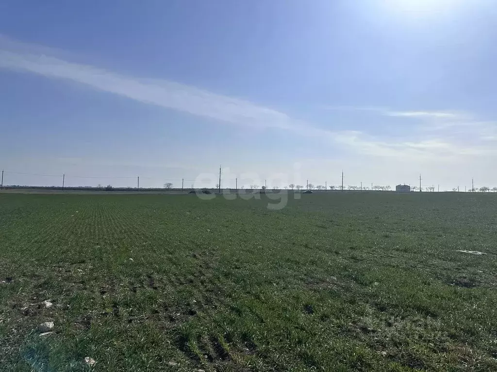 Участок в Крым, Сакский район, с. Уютное  (560.0 сот.) - Фото 2