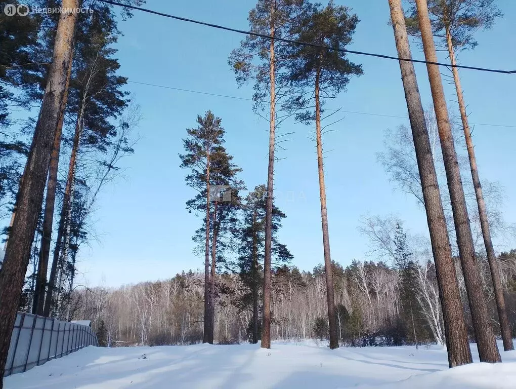 Участок в Кубовинский сельсовет, ДНТ Царская Усадьба (9.73 м) - Фото 1