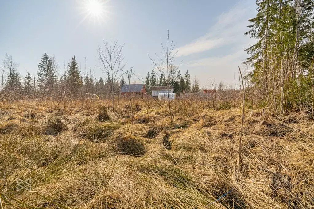Участок в Ленинградская область, Тосненский район, Рябовское городское ... - Фото 1