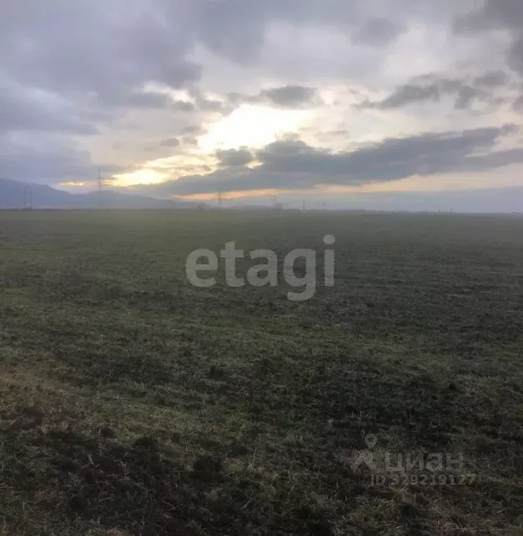 Участок в Крым, Кировский район, с. Абрикосовка  (254.8 сот.) - Фото 1