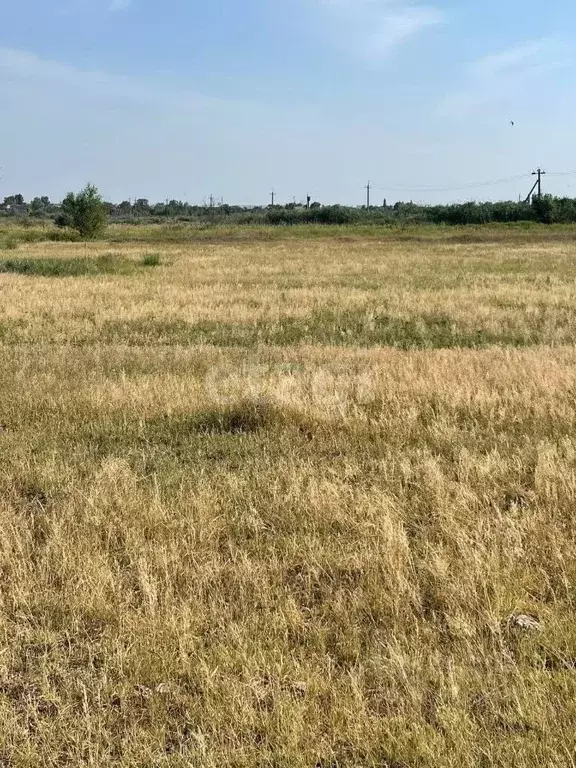 Участок в Ростовская область, Азовский район, Елизаветинское с/пос, ... - Фото 1