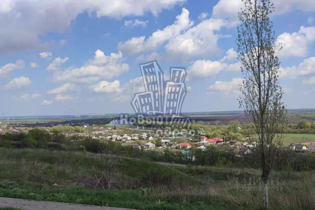 Дом в Воронежская область, Хохольский район, с. Гремячье Пролетарская ... - Фото 0