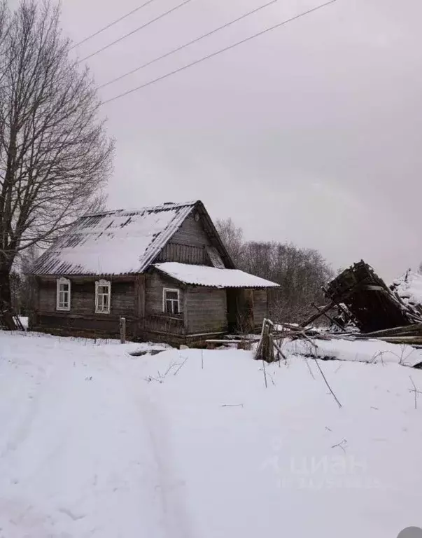 Участок в Тверская область, Андреапольский район, д. Ананино  (5000.0 ... - Фото 1
