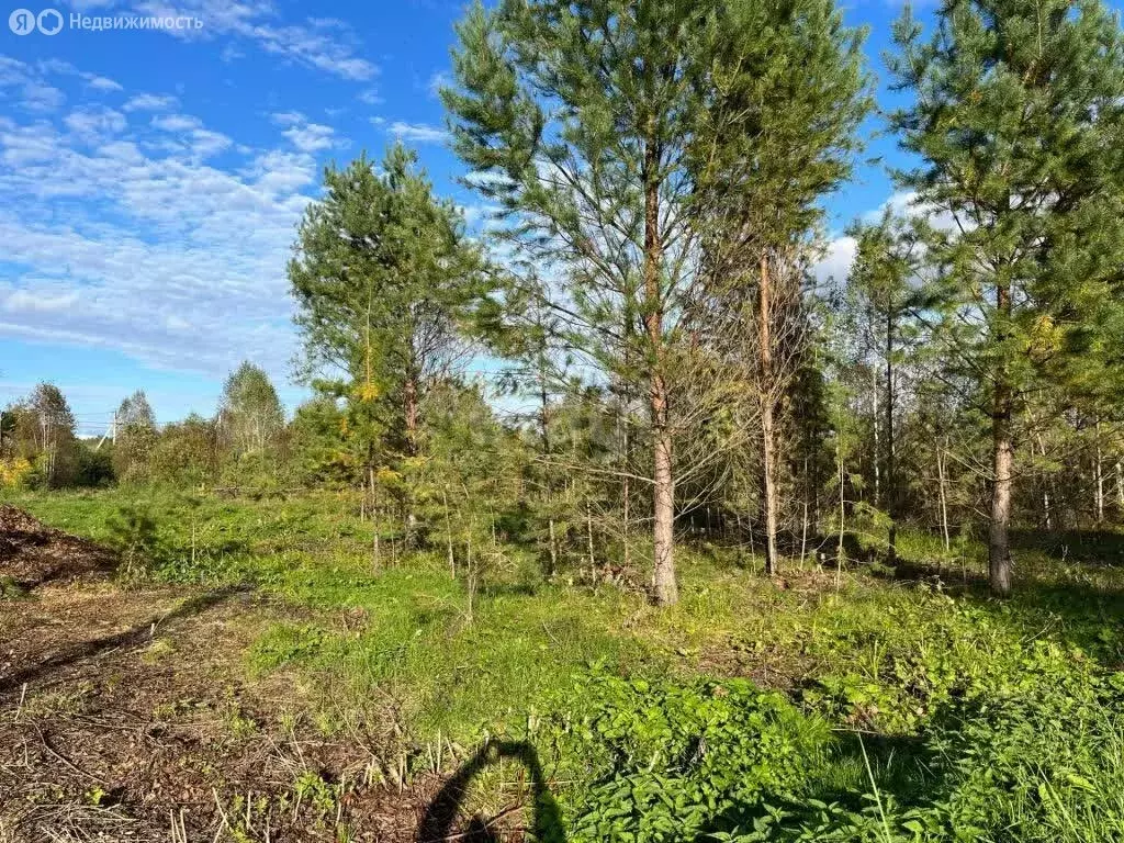 Участок в Томский район, село Тахтамышево, Афганская улица (15 м) - Фото 0