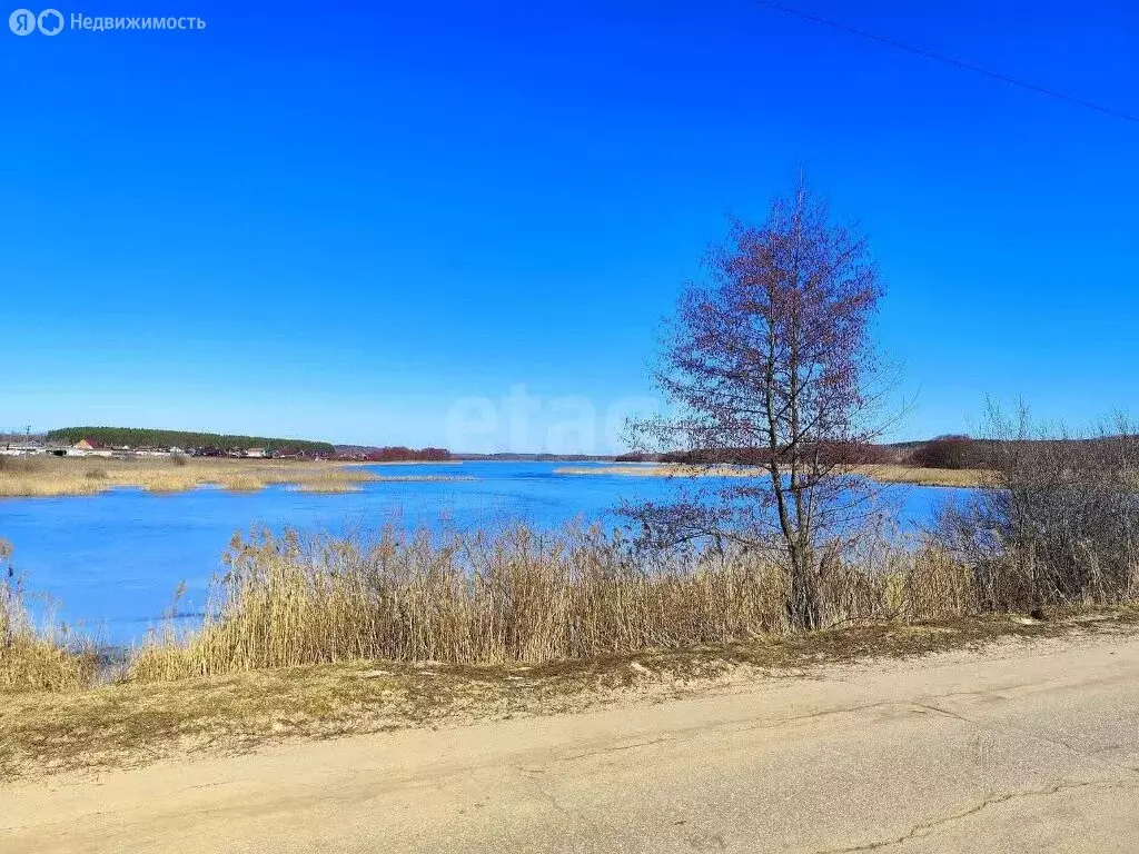 Участок в Нижегородская область, Богородский муниципальный округ, ... - Фото 1