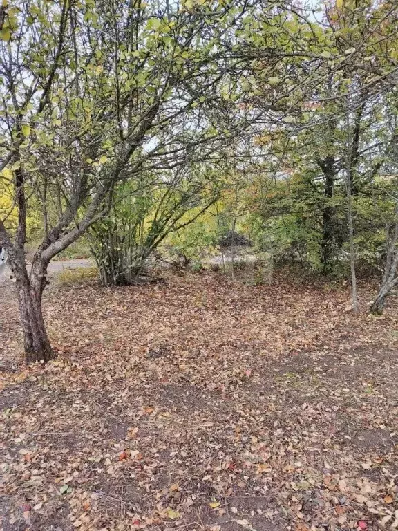 Участок в Белгородская область, Белгород Соборная пл. (6.0 сот.) - Фото 1