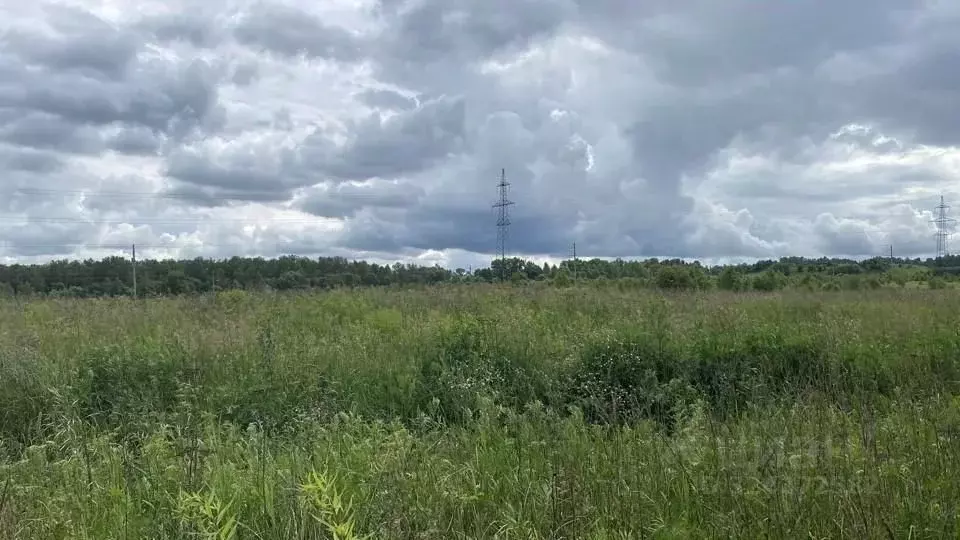Участок в Московская область, Кашира городской округ, д. Колтово  ... - Фото 1