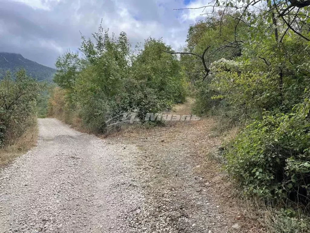 Участок в Крым, Алушта муниципальный округ, с. Генеральское  (25.0 ... - Фото 2