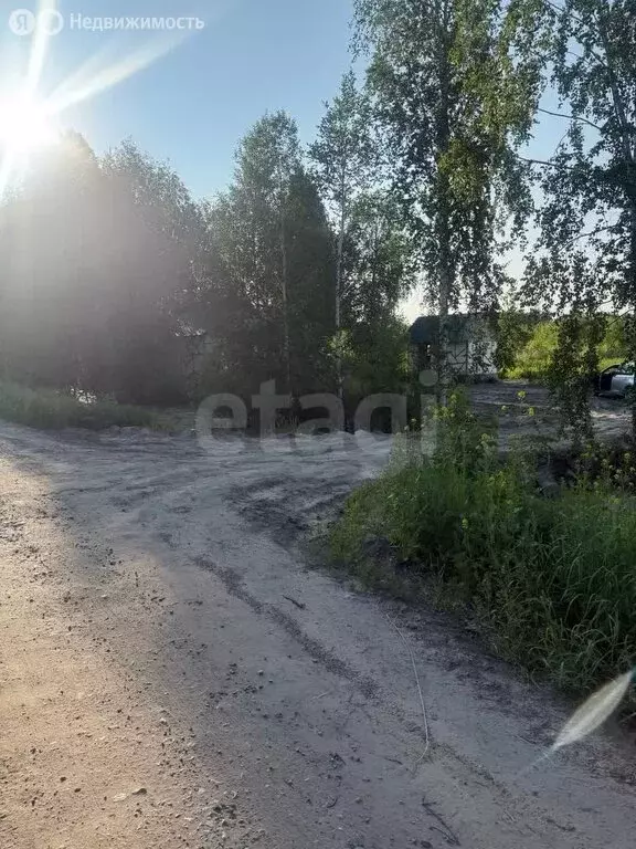 Участок в Нижнетавдинский район, СНТ Сочинские, 22-я линия (11 м) - Фото 0