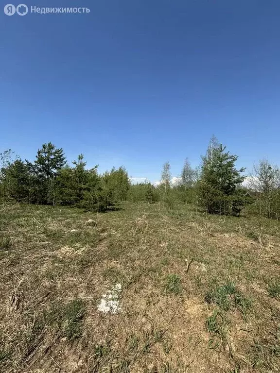 Участок в деревня Хабарское, Центральная улица, 134 (19.6 м) - Фото 2
