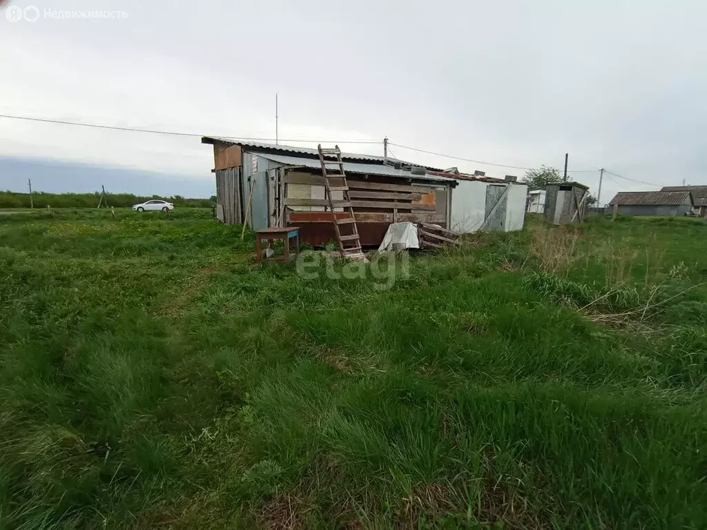 Дом в село Николаевка, улица Ушакова (39.7 м) - Фото 0