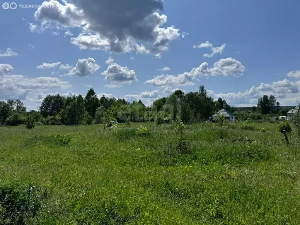 Участок в Кочкуровский район, деревня Красная Зорька (20 м) - Фото 1