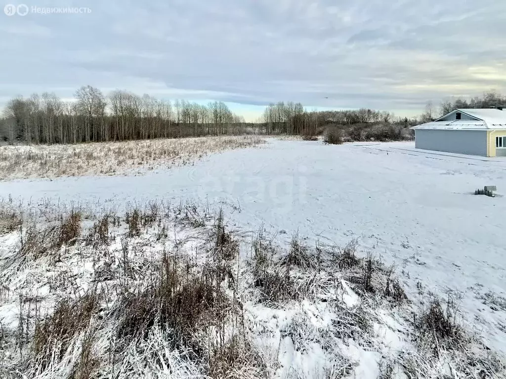 Участок в Преображенка, Северная улица (20.4 м) - Фото 2