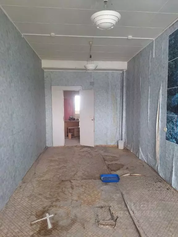 Помещение свободного назначения в Мурманская область, Апатиты ... - Фото 2
