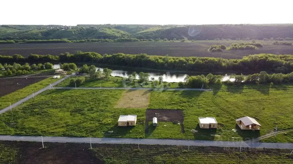 Участок в Воронежская область, Хохольский район, Новогремяченское ... - Фото 1