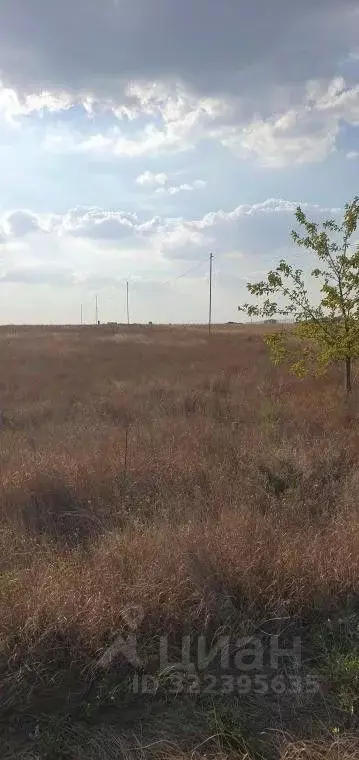 Участок в Крым, Симферопольский район, Гвардейское с/пос, с. Софиевка ... - Фото 1