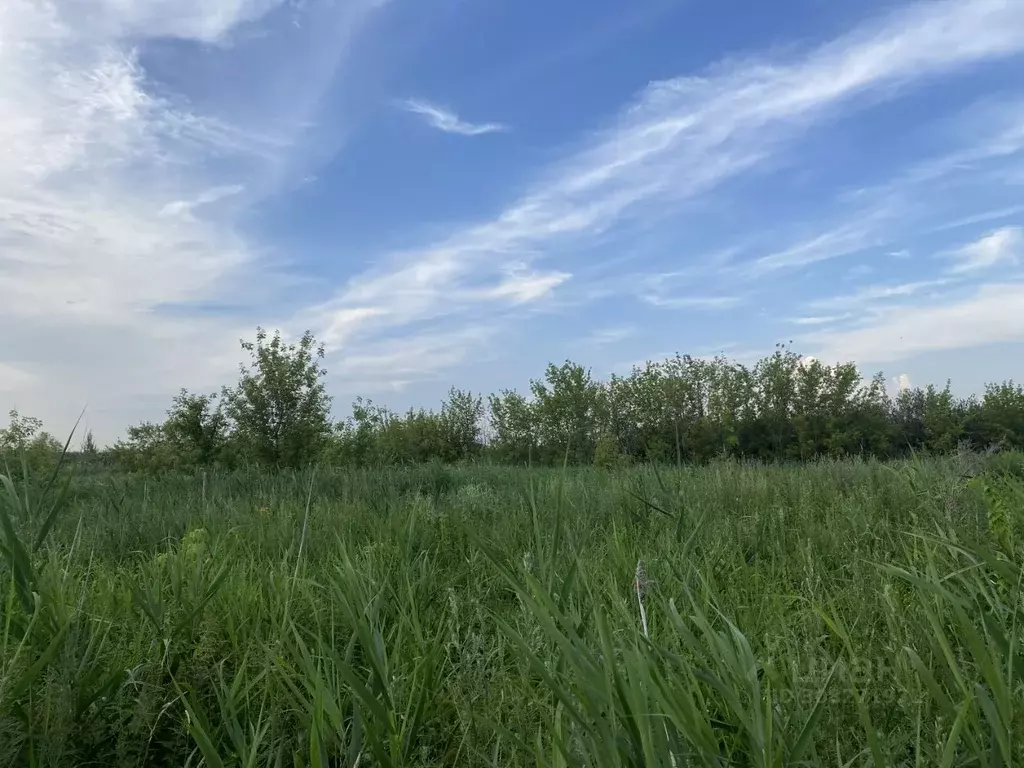 Участок в Ульяновская область, Майнский район, Игнатовское городское ... - Фото 1