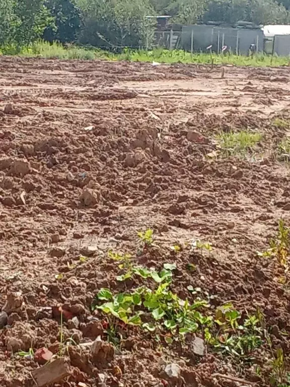 Участок в Московская область, Истра муниципальный округ, д. Исаково  ... - Фото 1