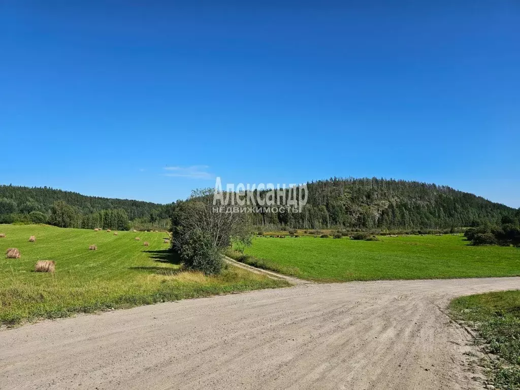 Участок в Карелия, Лахденпохский муниципальный округ, пос. Микли  ... - Фото 2