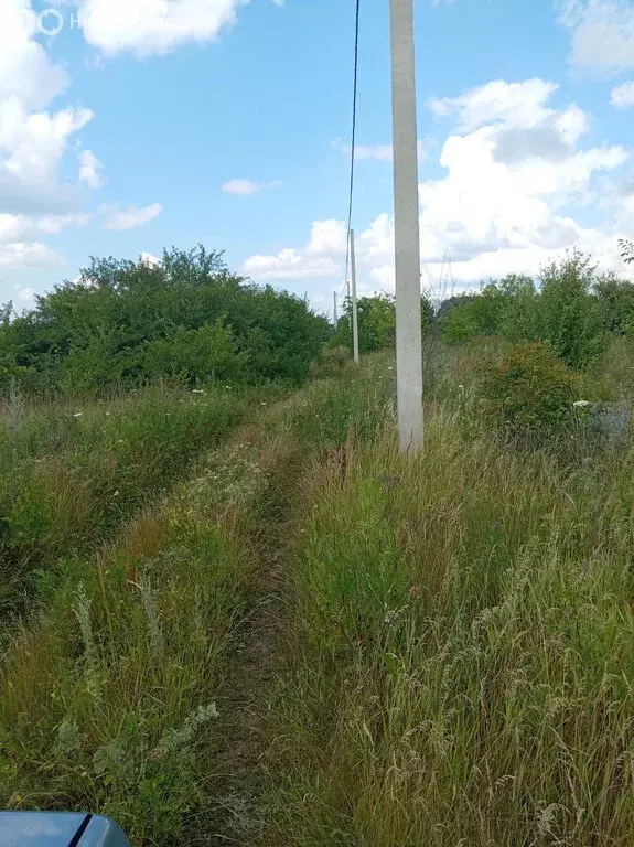 Участок в Белгородская область, Корочанский муниципальный округ, ... - Фото 2