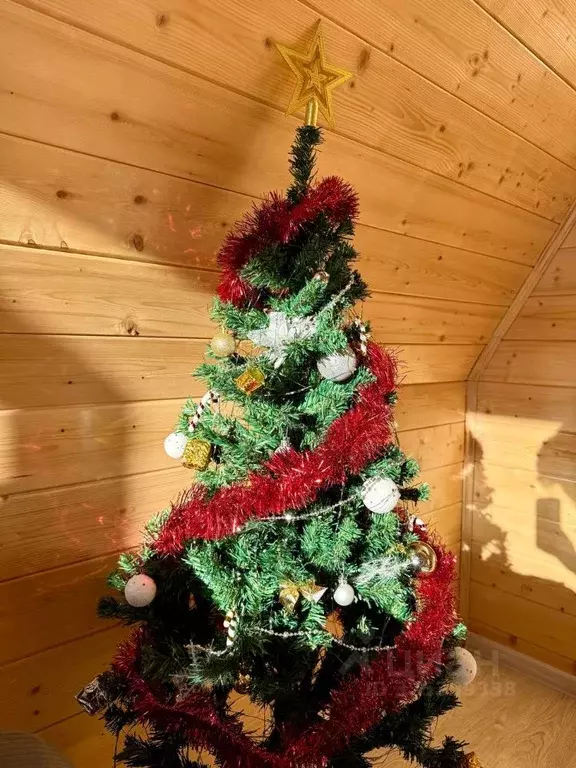 Дом в Москва д. Сосенки, 323 (74 м) - Фото 2