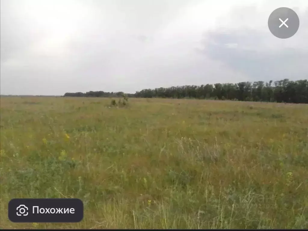 Участок в Ульяновская область, Старомайнский район, Прибрежненское ... - Фото 0